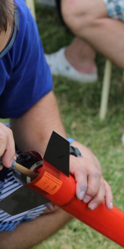 img_2162 ros ponorena do trupu